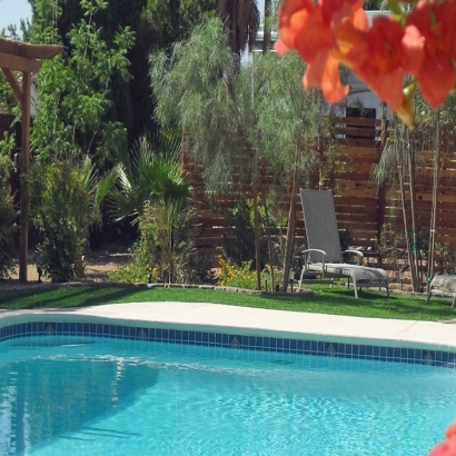 Green Lawn Tequesta, Florida Garden Ideas, Natural Swimming Pools