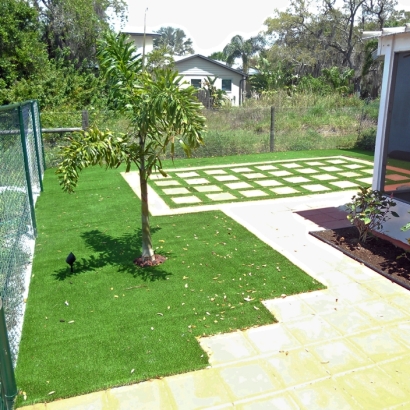 Green Lawn Valrico, Florida Garden Ideas, Small Backyard Ideas