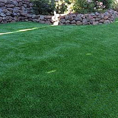 How To Install Artificial Grass Dania Beach, Florida Dog Park, Backyard Landscaping Ideas