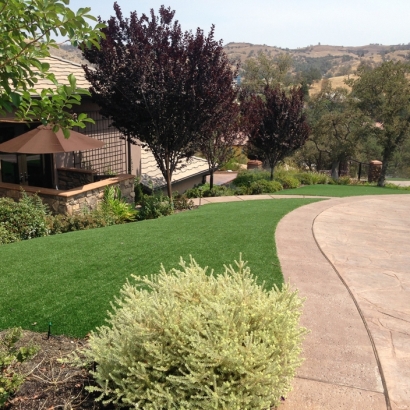 How To Install Artificial Grass Gifford, Florida Paver Patio, Front Yard Landscape Ideas