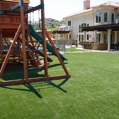 Lawn Services Greater Northdale, Florida Landscaping Business, Backyard Landscaping