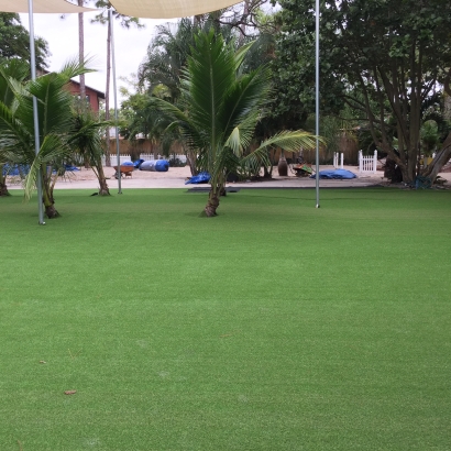 Lawn Services Hollywood, Florida Lawns, Commercial Landscape