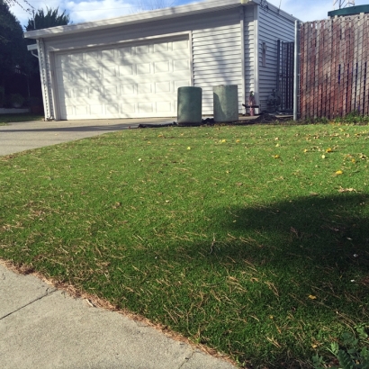 Lawn Services Lady Lake, Florida Gardeners, Small Front Yard Landscaping