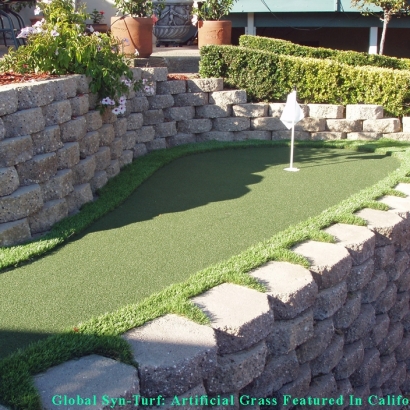 Lawn Services Punta Gorda Isles, Florida How To Build A Putting Green, Backyard Landscaping Ideas
