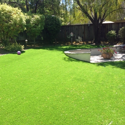 Outdoor Carpet Egypt Lake-Leto, Florida Landscape Ideas, Beautiful Backyards