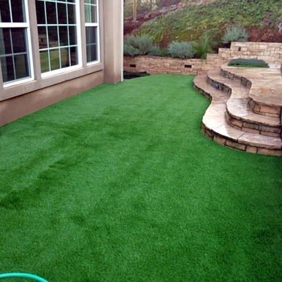 Outdoor Carpet Lake Worth, Florida Lawn And Garden, Backyard Design