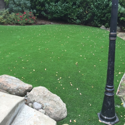 Outdoor Carpet Lighthouse Point, Florida City Landscape, Backyards