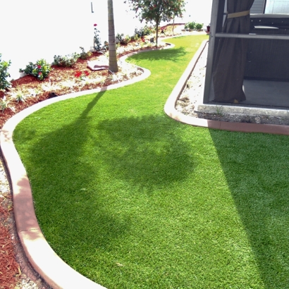 Outdoor Carpet North Palm Beach, Florida Landscaping, Small Backyard Ideas