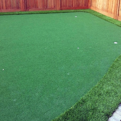 Outdoor Carpet Pahokee, Florida Artificial Putting Greens, Backyard Designs