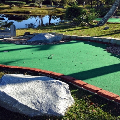 Outdoor Carpet Pebble Creek, Florida Putting Green, Backyard Landscape Ideas