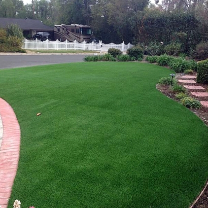 Outdoor Carpet Sugarmill Woods, Florida Landscape Design, Front Yard