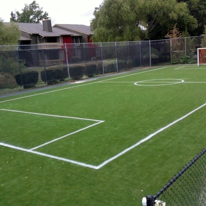 Outdoor Carpet Williamsburg, Florida Stadium, Commercial Landscape