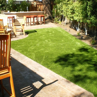 Outdoor Carpet Zephyrhills South, Florida Landscape Ideas, Backyard Design