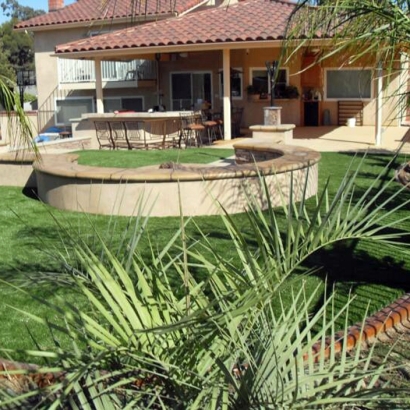 Plastic Grass Inverness, Florida Roof Top, Backyard Design