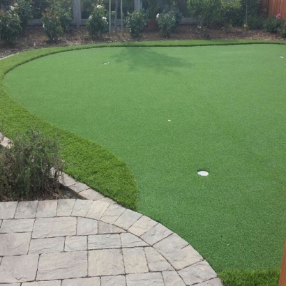 Plastic Grass San Carlos Park, Florida How To Build A Putting Green, Backyard Landscape Ideas