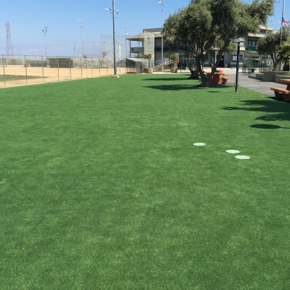 Synthetic Grass Brownsville, Florida Landscaping, Recreational Areas