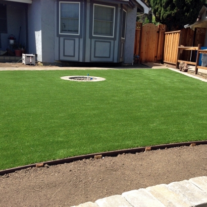 Synthetic Grass Cost Brooksville, Florida Lawn And Garden, Landscaping Ideas For Front Yard
