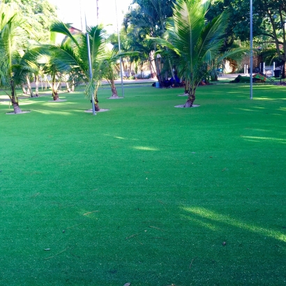 Synthetic Grass Cost Carol City, Florida Backyard Playground, Small Front Yard Landscaping