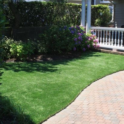 Synthetic Grass Cost Fort Meade, Florida Landscape Photos, Landscaping Ideas For Front Yard