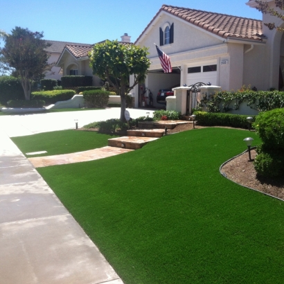 Synthetic Grass Cost Pine Hills, Florida Landscape Ideas, Front Yard Landscaping