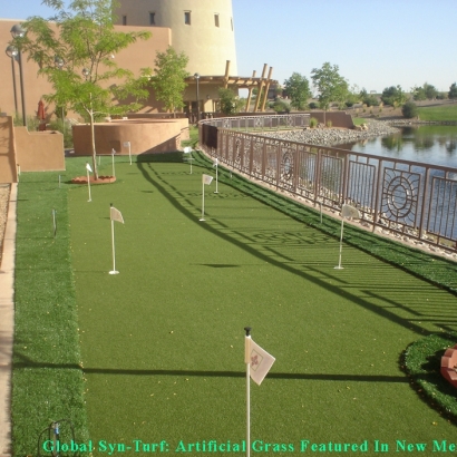 Synthetic Grass Cost Punta Gorda, Florida How To Build A Putting Green, Backyard Designs