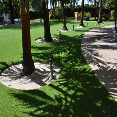 Synthetic Grass Cost Trinity, Florida Lawn And Landscape, Commercial Landscape