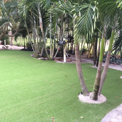 Synthetic Grass Cost Westview, Florida Lawns, Commercial Landscape