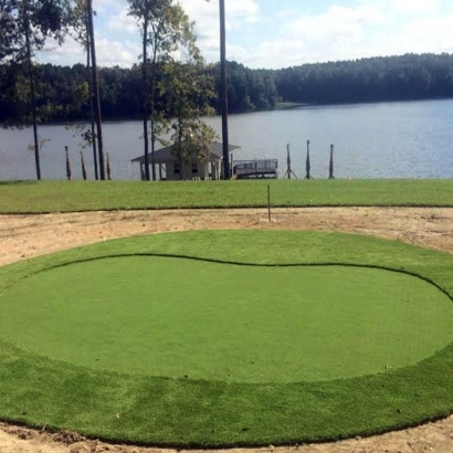 Synthetic Grass Cost Williamsburg, Florida Putting Green Grass