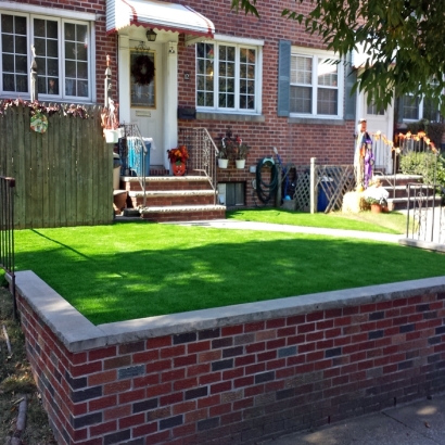 Synthetic Grass Lake Park, Florida Home And Garden, Front Yard Landscape Ideas