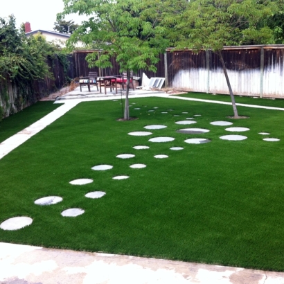 Synthetic Grass Naples, Florida Landscaping Business, Backyard