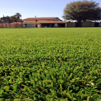 Synthetic Grass Naples Manor, Florida Red Turf
