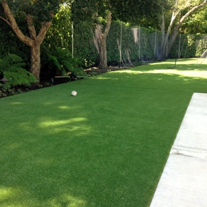 Synthetic Grass Port Charlotte, Florida Indoor Dog Park