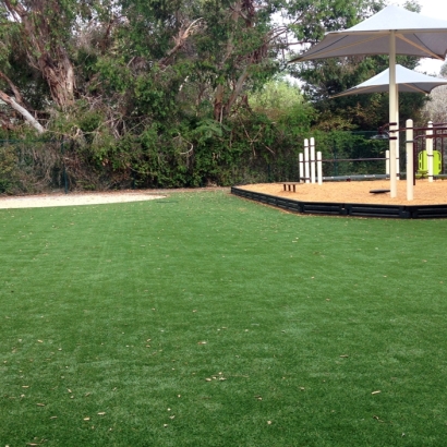 Synthetic Grass Samsula-Spruce Creek, Florida Indoor Playground