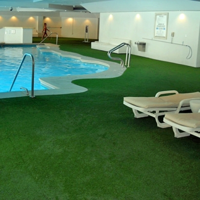 Synthetic Lawn Carrollwood Village, Florida Indoor Putting Greens, Backyard Pool