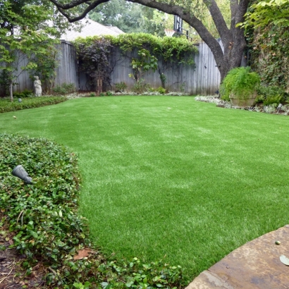 Synthetic Lawn Fern Park, Florida City Landscape, Beautiful Backyards