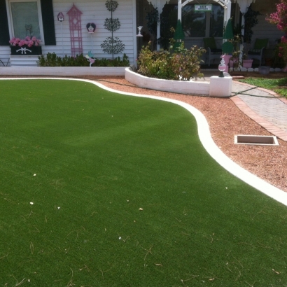 Synthetic Lawn Gulfport, Florida City Landscape, Front Yard