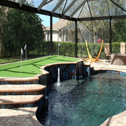 Synthetic Lawn Union Park, Florida Best Indoor Putting Green, Backyard Landscape Ideas