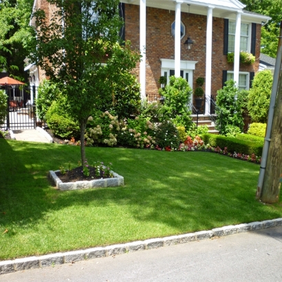Synthetic Turf Eustis, Florida Garden Ideas, Front Yard Ideas