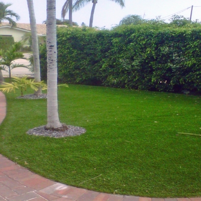 Synthetic Turf Goldenrod, Florida Garden Ideas, Front Yard Landscape Ideas