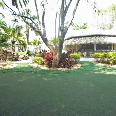 Synthetic Turf Oak Ridge, Florida Landscape Design, Commercial Landscape