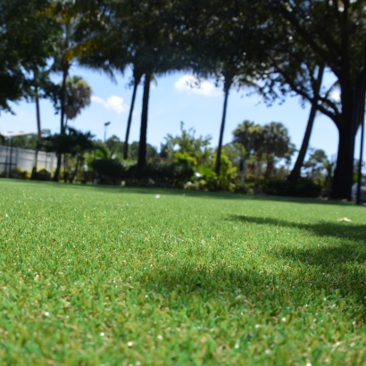 Synthetic Turf Pembroke Park, Florida Landscape Design, Recreational Areas