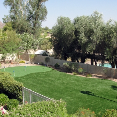 Synthetic Turf Port Salerno, Florida Diy Putting Green, Backyard Landscaping