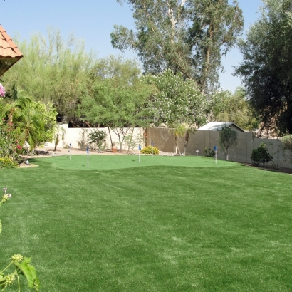 Synthetic Turf Port Salerno, Florida Diy Putting Green, Backyard Landscaping