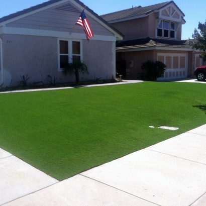 Synthetic Turf Supplier Fort Pierce, Florida Design Ideas, Front Yard Landscape Ideas