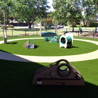 Synthetic Turf Supplier Golden Gate, Florida Lawn And Garden, Commercial Landscape