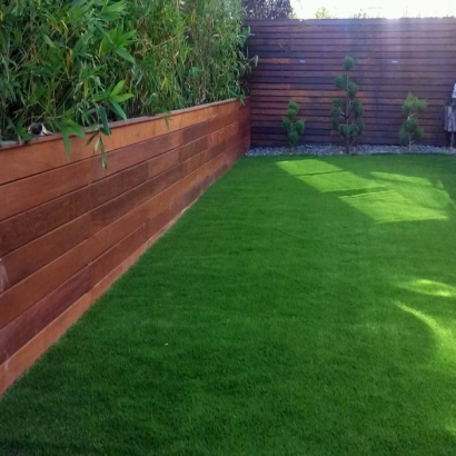 Synthetic Turf Supplier Heathrow, Florida Landscape Ideas, Beautiful Backyards