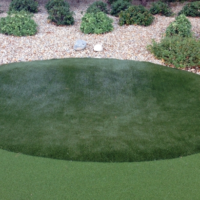 Synthetic Turf Venice, Florida Indoor Putting Greens