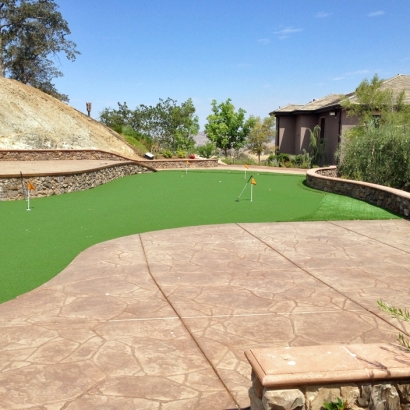 Synthetic Turf Wright, Florida Indoor Putting Green, Backyard Landscaping