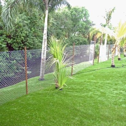 Turf Grass Inverness Highlands South, Florida Roof Top, Backyards