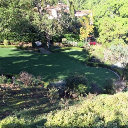 Turf Grass Miramar, Florida Gardeners, Backyard Makeover